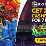 Roobet Casino: Manuale Esaustivo su Bonus, Matematica e Troubleshooting Avanzato