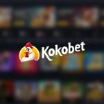 Kokobet Casino Nederland: Een Uitgebreide Technische Handleiding voor Promo Codes en Veiligheid