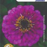 Ice Casino App & Login: Szczeg&oacute;łowy Przewodnik Techniczny z Rozszerzonym FAQ